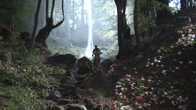 Imagen de Black Forest