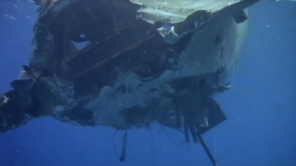 Imagen de El Cazador de Tiburones