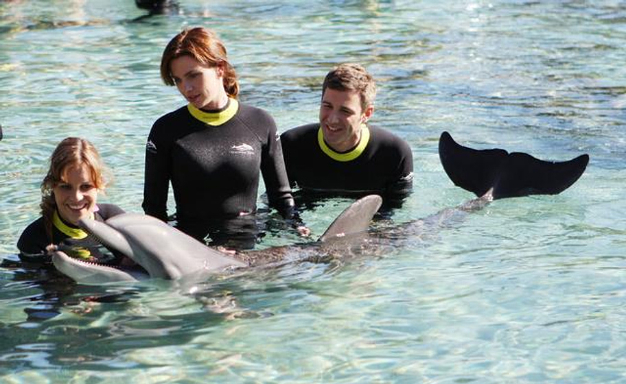 Birthe Wolter, Jochen Schropp y Gisa Zach en Luna de miel en Florida (Rumbo al Paraíso)