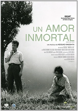 poster of movie Un amor inmortal