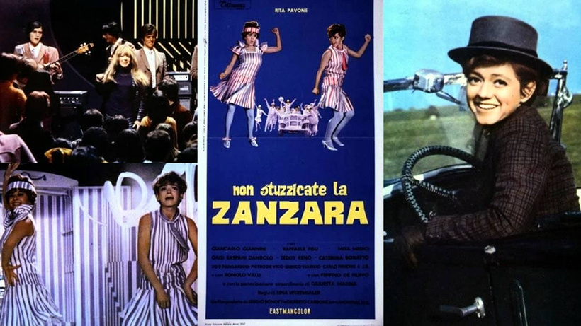 Imagen de Non stuzzicate la zanzara