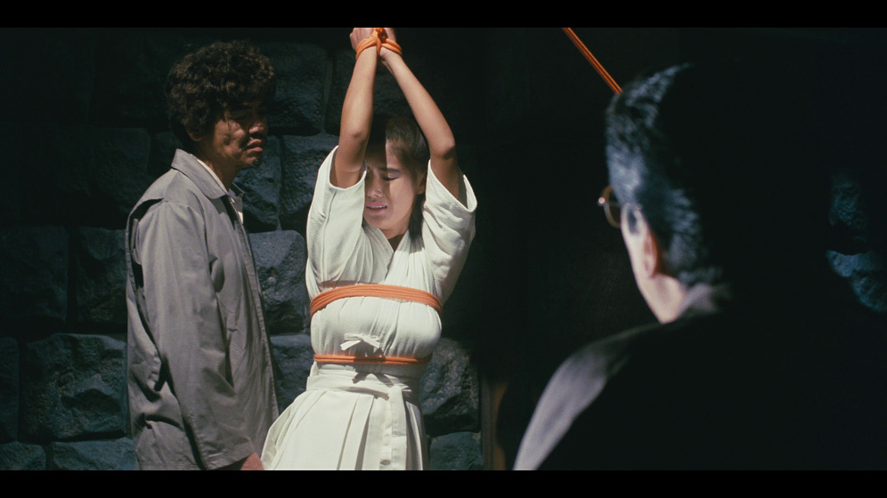 Imagen de Beautiful Teacher in Torture Hell