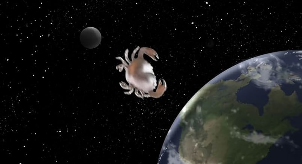 Imagen de Cocaine Crabs From Outer Space