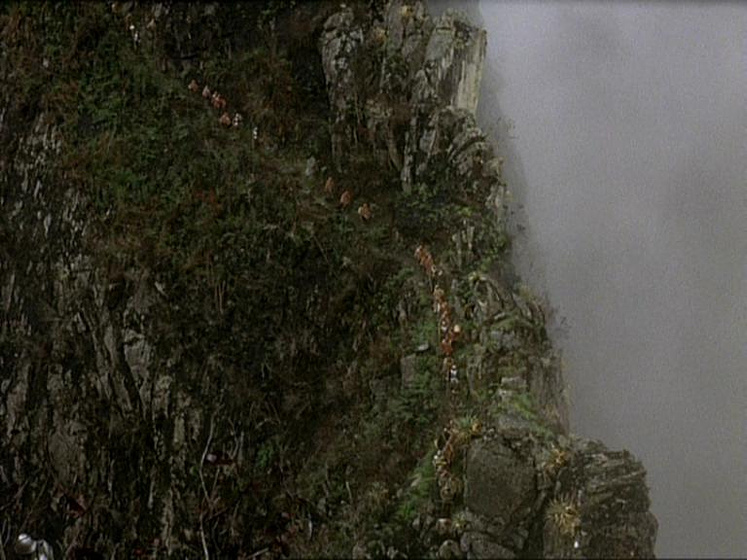 Imagen de Aguirre, la cólera de Dios