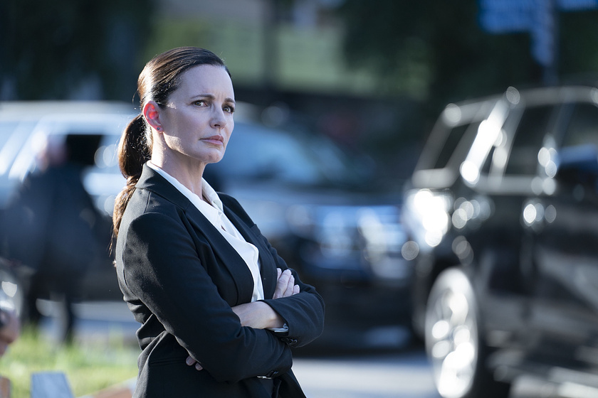 Kristin Davis en Ladrones con Clase