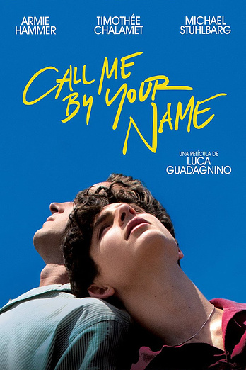 poster of content Call me by your Name