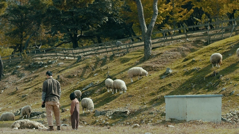 Imagen de A Distant Place