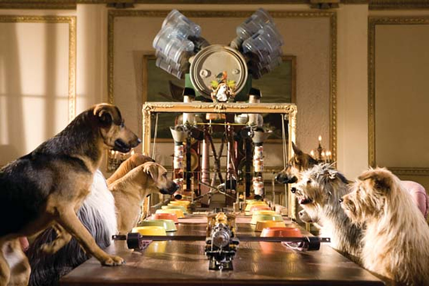 Imagen de Hotel para Perros