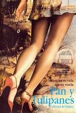 poster of movie Pan y tulipanes