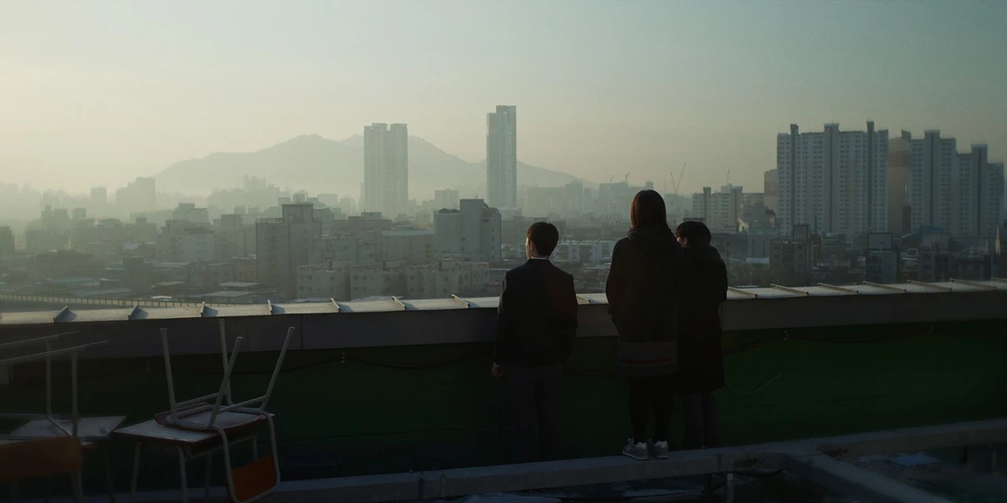 Imagen de the-birds