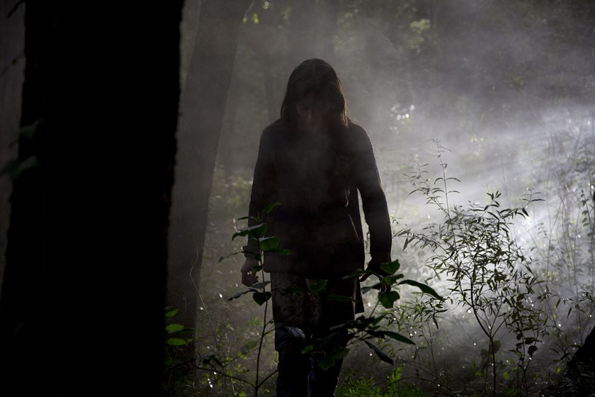 Imagen de Summer Camp