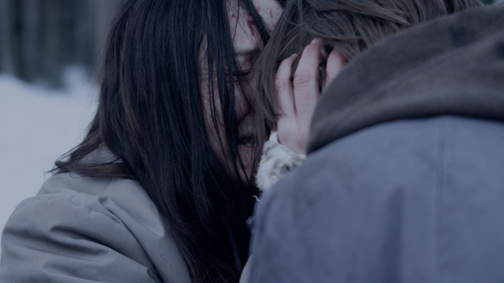 Imagen de Evaded