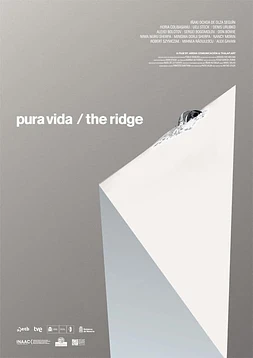 poster of movie Pura vida