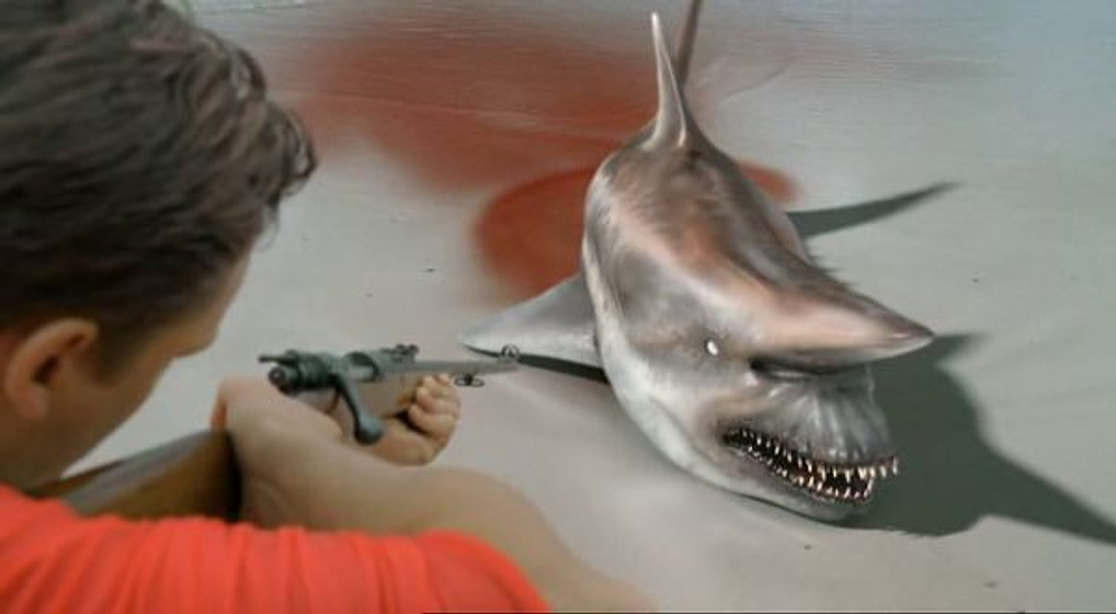 Imagen de Tiburones en Malibú