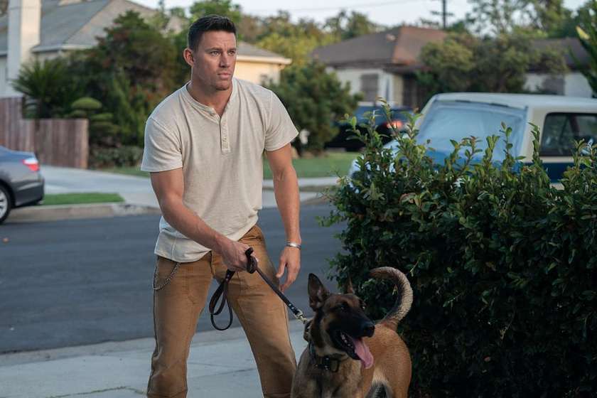 Channing Tatum en Dog. Un Viaje salvaje