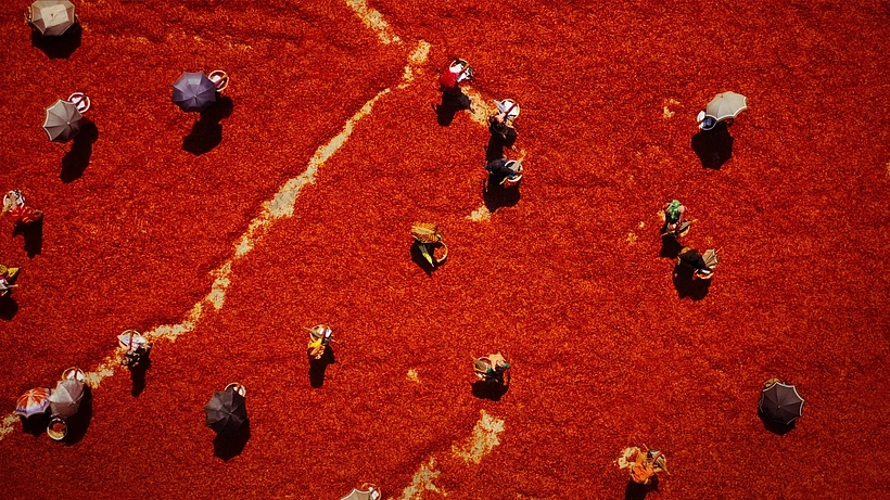 Imagen de Ingredientes para la Vida