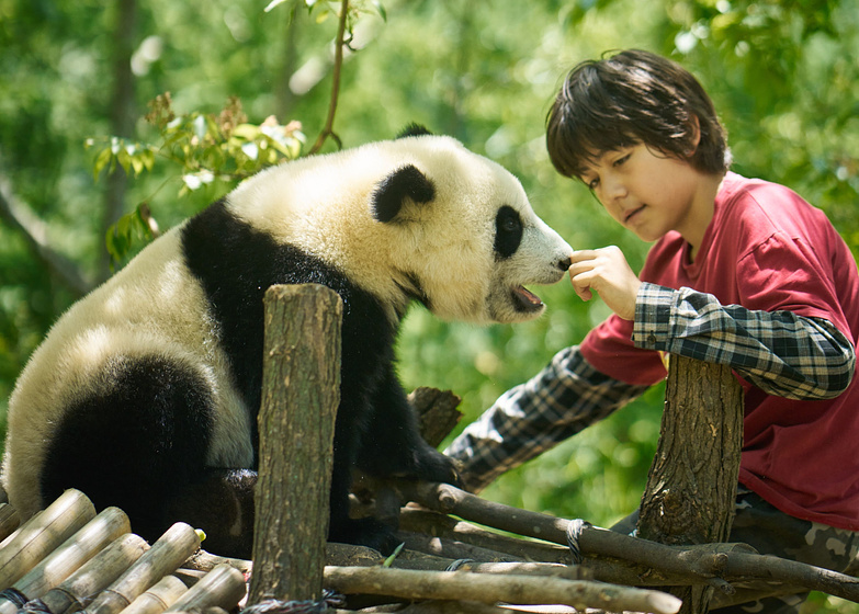 Imagen de Moon, mi Amigo Panda