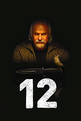poster of movie 12