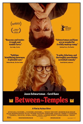Poster de Entre los Templos