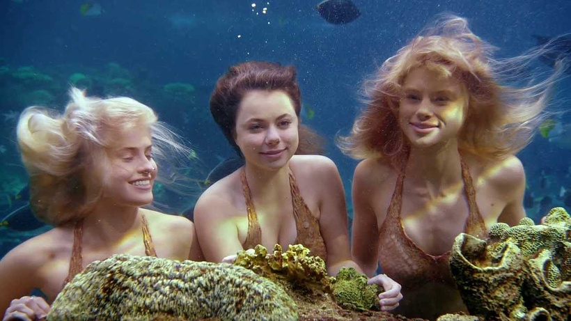 Imagen de Las Sirenas de Mako