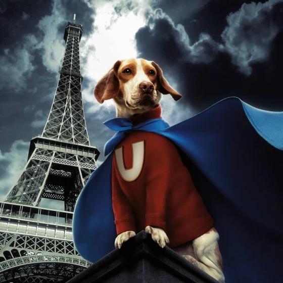 Imagen de superdog
