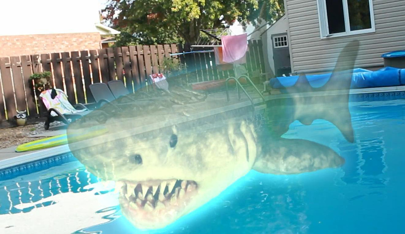 Imagen de Ouija Shark