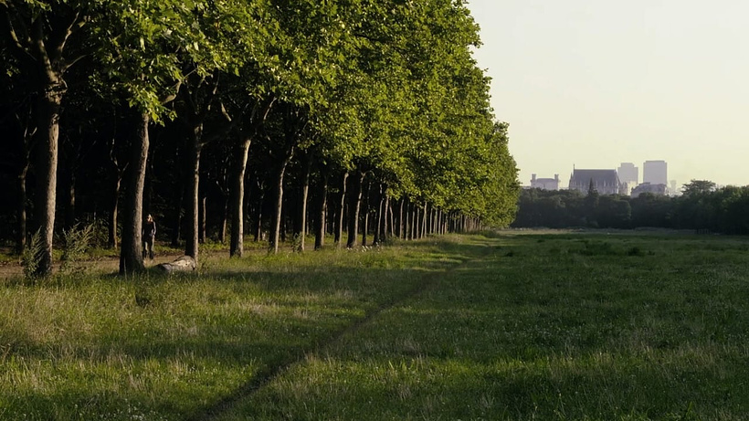 Imagen de Un Bosque en París