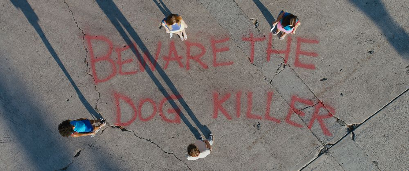 Imagen de Lo que esconde Silver lake