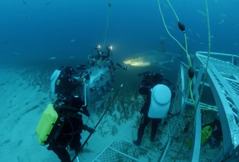 Imagen de under-the-sea-3d