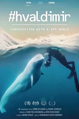 Hvaldimir, Conversation with a Spy whale
