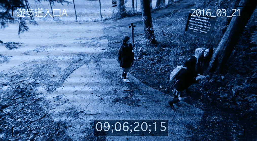 Imagen de fuji_jukai-mov