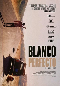 poster of movie Blanco Perfecto