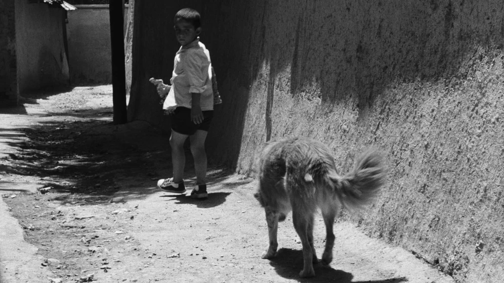 Imagen de el-pan-y-la-calle