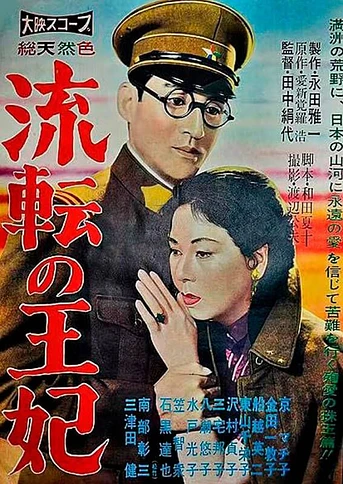 Poster de La Princesa Errante