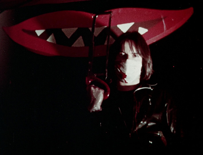 Imagen de The Last House on Dead End Street