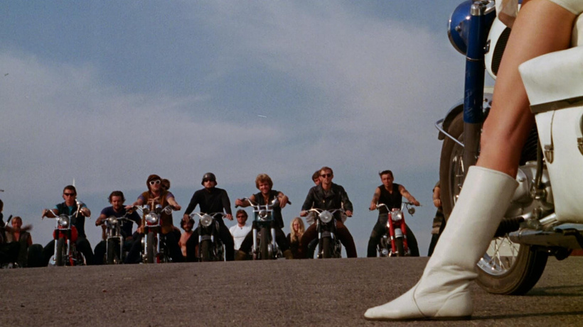 Imagen de The Born Losers