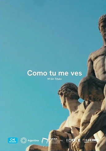 Poster de Como tú me ves