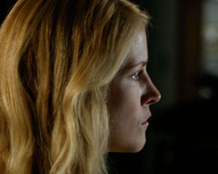 Imagen de Within