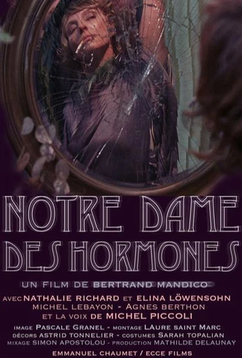 Poster de Notre-Dame des Hormones
