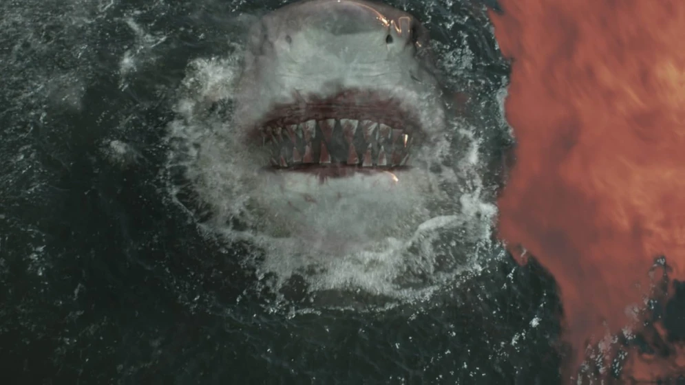 Imagen de tiburon-zombie