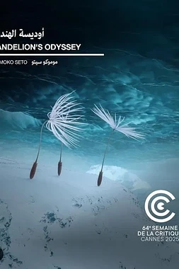 Dandelion's Odyssey