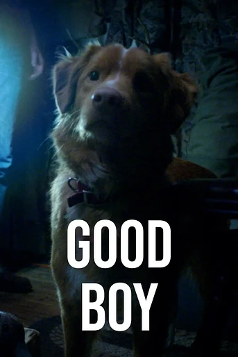 Poster de Good Boy