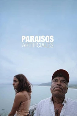 poster of movie Paraísos artificiales