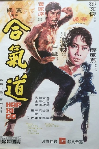 Poster de Hapkido