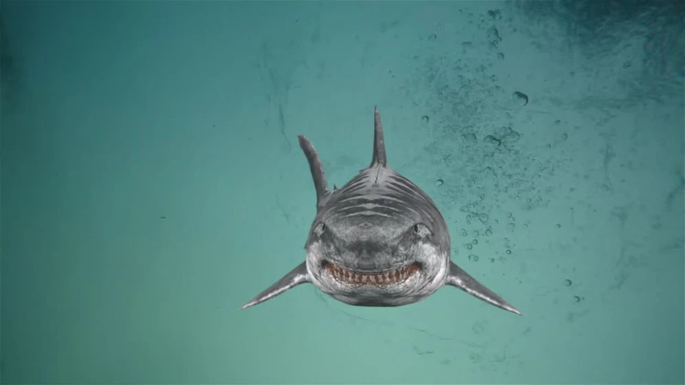Imagen de jurassic-shark-2-aquapocalypse