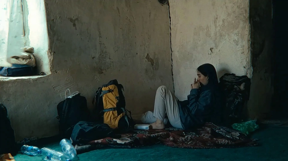 Imagen de a-fox-under-a-pink-moon