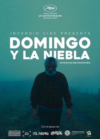 Poster de Domingo y la niebla