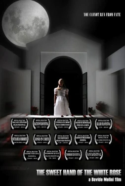 La dulce mano de la Rosa Blanca