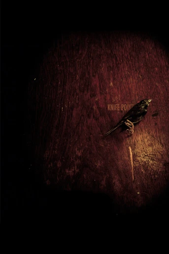 Poster de Knife Point