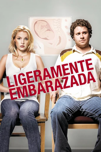 Poster de Lío embarazoso